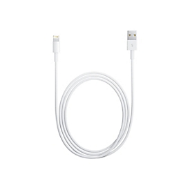 Apple Lightning-Kabel - Lightning männlich