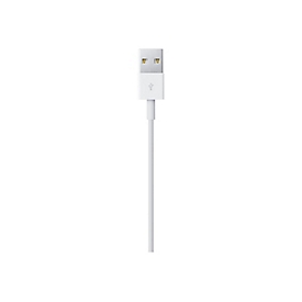 Apple Lightning-Kabel - Lightning männlich