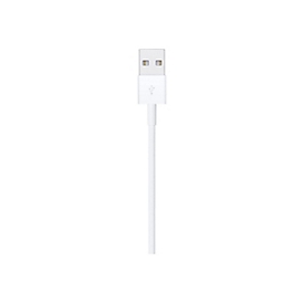 Apple Lightning-Kabel - Lightning männlich