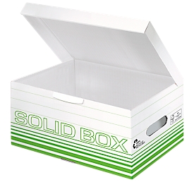 Archivbox Leitz Solid Box S 6117, 10 Stück, grün