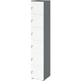 Armoire à casiers verrouillables Topas Line, 6 hauteurs de classeurs, 6 compartiments, serrure à cylindre, L 400 x P 420 x H 2156 mm, graphite/blanc