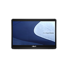 ASUS ExpertCenter E1 AiO E1600WKAT BMR106X - All-in-One (Komplettlösung)