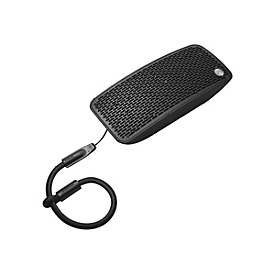 Audio Pro P5 - Lautsprecher - kabellos - Bluetooth - 35 Watt - zweiweg