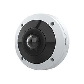 Axis M43 Series M4317-PLR - Netzwerk-Panoramakamera - Fischauge - Außenbereich - Vandalismussicher / Wetterbeständig - Farbe (Tag&Nacht)