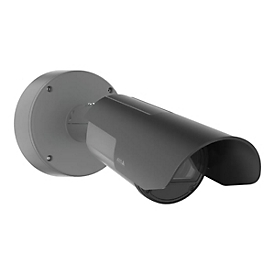 Axis Q18 Series Q1800-LE-3 - Kit - Netzwerk-Überwachungskamera - Kugel - Außenbereich - Vandalismussicher / Wetterbeständig - Farbe (Tag&Nacht)