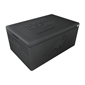 Bac thermobox Expert GN 1/2 KANGABOX, L 390 x l. 330 x H 280 mm, 19 liter, avec poignées de transport, noir