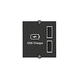 Bachmann Double Charger - Flächenbündiges Einlagestück