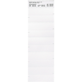 Bandes organisatrices, blanc