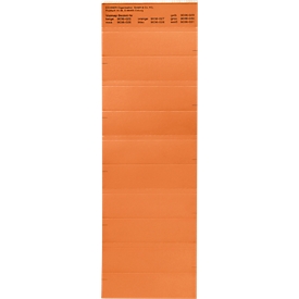 Bandes organisatrices, orange