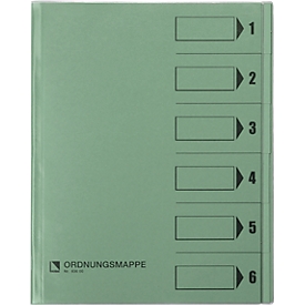 bene Ordnungsmappe m. Schutzumschlag, Pendarec-Karton, recycling, grün, 6-tlg.