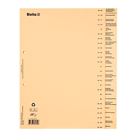 Biella construction accounting register, A4