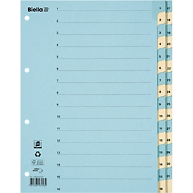 Biella Register, A4, Karton, 1-31, Taben verstärkt, farbig