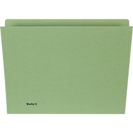 Biella vertical file, for DIN A4, L 330 x W 265 x H 1 mm, cardboard, green