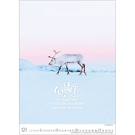 Bildkalender Korsch Seasons 2026, mit Fotomotiven, Illustrationen und Deko-Elementen, B 300 x H 420 mm, Papier