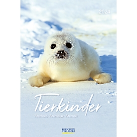 Bildkalender Korsch 'Tierkinder 2024', 1 Titelblatt, 12 Monatsblätter, B 235 x H 335 mm