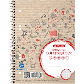 Bloc-notes Herlitz Recycling, 80 feuilles, DIN A5+, 70 g/m², 6 perforations, reliure à spirales, OPTIK PAPER®, quadrillé, marge à gauche, multicolore