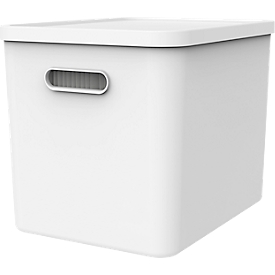 Boîte à archives Rotho My Paper, empilable, jusqu'à 23 kg, 10 dossiers suspendus, couvercle amovible, trous de préhension, L 370 x l 290 x H 295 mm, plastique recyclé, blanc