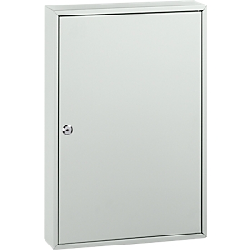 VEVOR Armoire à Clés pour 240 Clés Boîte à Clés Murale en Acier 38,5x30x9,5