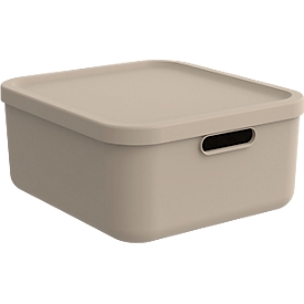 Boîte de transport Rotho Albula, volume 20 l, empilable, avec couvercle amovible et trous de préhension, L 395 x l 355 x H 177 mm, plastique recyclé, marron