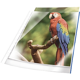 Brochurehoesjes, DIN A4, glashelder, documentveilig, versterkte universele perforatie, met blauwe rand, 10 st.