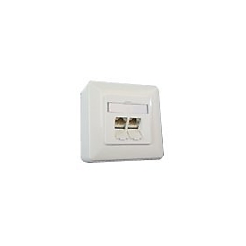 BTR IT CONNECT E-DAT C6 8/8(8) AP Cat.6 - Wanddose - CAT 6 - RJ-45 X 2 - Pure White, RAL 9010