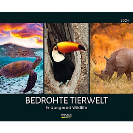 Calendrier illustré Korsch 'Le monde animal menacé 2024', page de couverture et 12 feuilles mensuelles, L 440 x H 360 mm