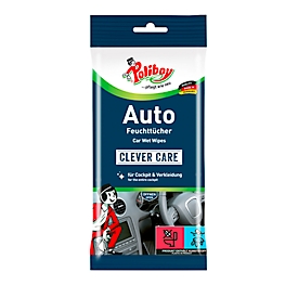 Car Wet Wipes POLIBOY, antistatic, streak free, skin-friendly, PEFC certified, 20 pieces