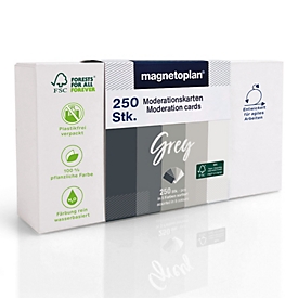 Cartes de présentation Magnetoplan grises, rectangulaires, inscriptibles, L 200 x H 100 mm, assorties par couleur, 250 pièces