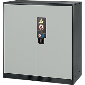 Chemicaliënkast, vleugeldeur, 2 legborden, 1055x520x1105 mm, lichtgrijs