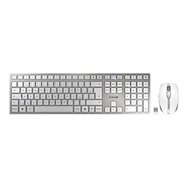 Cherry DW 9100 SLIM - Sans fil - RF sans fil + Bluetooth - Argent - Souris incluse