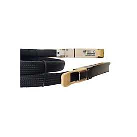 Cisco 400G PASSIVE COPPER CABLE 0.5M - Transceiver - Kupferdraht