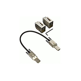 Cisco C9200L-STACK-KIT= - 0,48 m