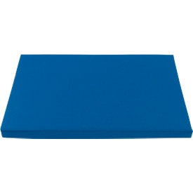 Coussin d'assise Schäfer Shop Pure pour couvercles à appui et couvercles à charnières de la série Economy, 400 x 300 mm, mousse, bleu