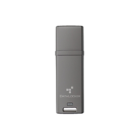 DataLocker Dl Go 256BIT - Flash-Speicher - unsortiert DLGO-004 - Flash-Speicher - unsortiert