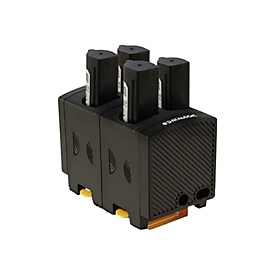 Datalogic Batterieladegerät - Master - Ausgangsanschlüsse: 4