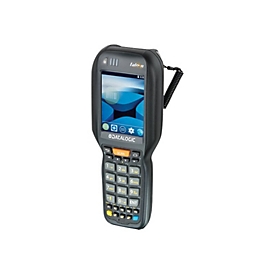 Datalogic Falcon X4 - Datenerfassungsterminal - robust - Win Embedded Compact 7 - 8 GB - 8.9 cm (3.5") Farbe TFT (240 x 320)