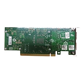 Dell Intel E810 - Kunden-Kit - Netzwerkadapter - PCIe