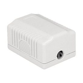 Delock - Ausgang - Oberfläche montierbar, geeignet für Wandmontage - CAT 6a - STP - RJ-45