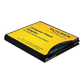 Delock Compact Flash Adapter - Kartenadapter - CompactFlash