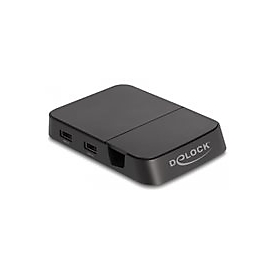 Delock - Dockingstation - USB-C / Thunderbolt 3 - HDMI