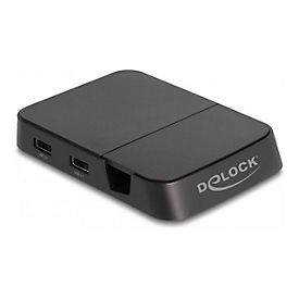 Delock - Dockingstation - USB-C / Thunderbolt 3 - HDMI