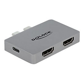 Delock Dockingstation - USB-C / Thunderbolt
