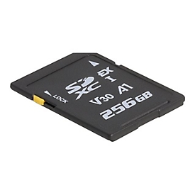 Delock Flash-Speicherkarte - 256 GB - Video