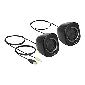 Delock Mini - Lautsprecher - für PC - 2 Watt (Gesamt) - Grau, Schwarz