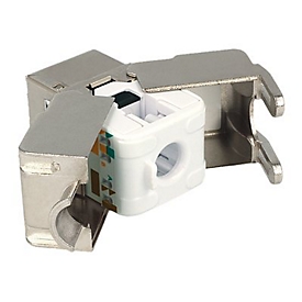Delock - Modulare Eingabe - CAT 6 - STP - RJ-45, LSA