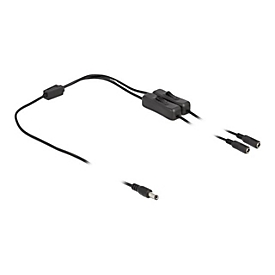 Delock Netz-Splitter - Gleichstromstecker 5,5 x 2,1 mm (M)