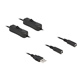 Delock Netz-Splitter - USB (M) zu Gleichstromstecker 5,5 x 2,1 mm (W)