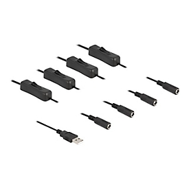 Delock Netz-Splitter - USB (M) zu Gleichstromstecker 5,5 x 2,1 mm (W)