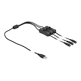 Delock Stromkabel - USB (M) zu Gleichstromstecker 5,5 x 2,1 mm (W)