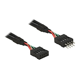 Delock USB 2.0 Pin Header - Internes USB-Kabel - 10-poliger USB-Header (W)